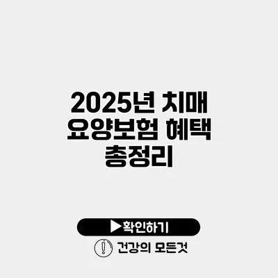 2025년 치매 요양보험 혜택 총정리