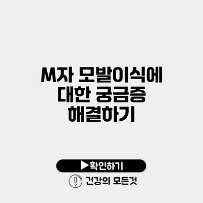 M자 모발이식에 대한 궁금증 해결하기