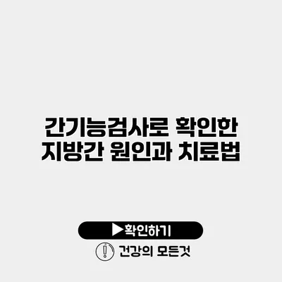 간기능검사로 확인한 지방간 원인과 치료법