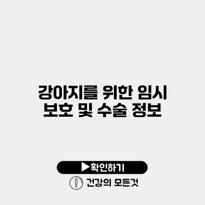 강아지를 위한 임시 보호 및 수술 정보