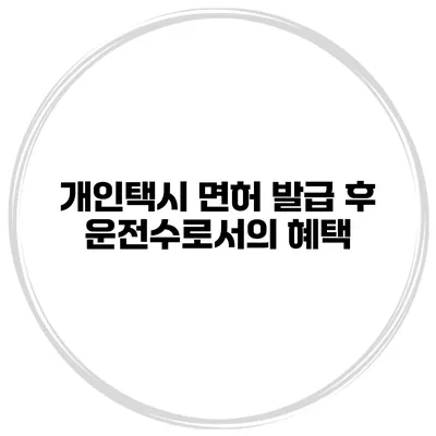 개인택시 면허 발급 후 운전수로서의 혜택