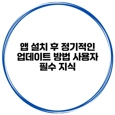 앱 설치 후 정기적인 업데이트 방법 사용자 필수 지식