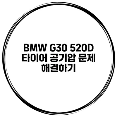 BMW G30 520D 타이어 공기압 문제 해결하기