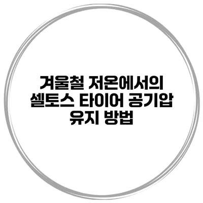 겨울철 저온에서의 셀토스 타이어 공기압 유지 방법