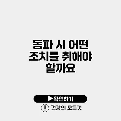 동파 시 어떤 조치를 취해야 할까요?