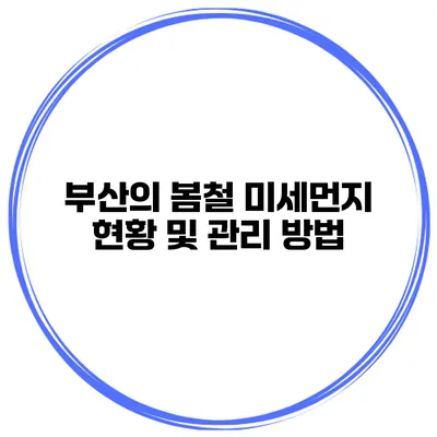 부산의 봄철 미세먼지 현황 및 관리 방법