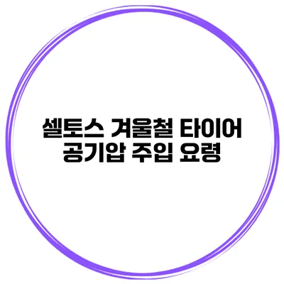 셀토스 겨울철 타이어 공기압 주입 요령