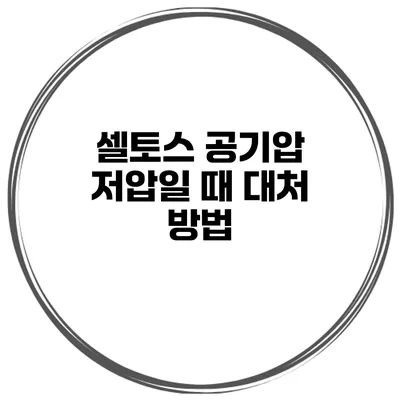 셀토스 공기압 저압일 때 대처 방법