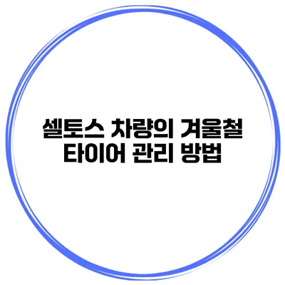 셀토스 차량의 겨울철 타이어 관리 방법