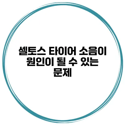 셀토스 타이어 소음이 원인이 될 수 있는 문제