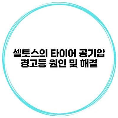 셀토스의 타이어 공기압 경고등 원인 및 해결